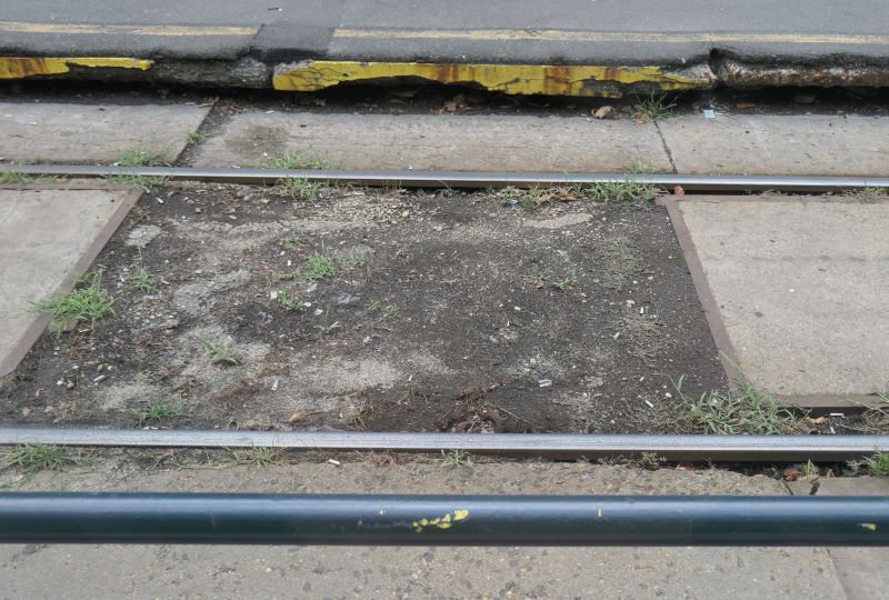 Bucuresti, 25 iulie 014.jpg