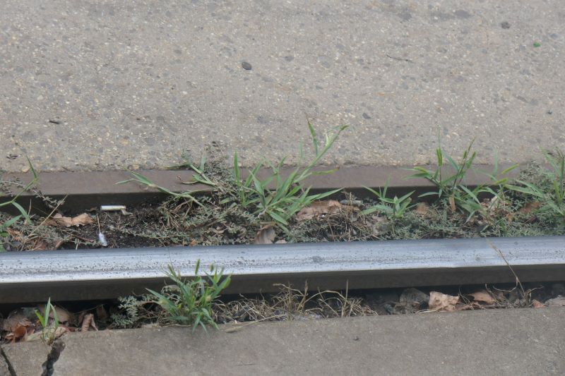 Bucuresti, 25 iulie 015.jpg