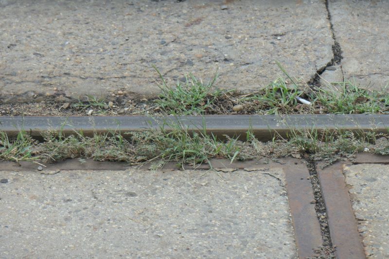 Bucuresti, 25 iulie 019.jpg