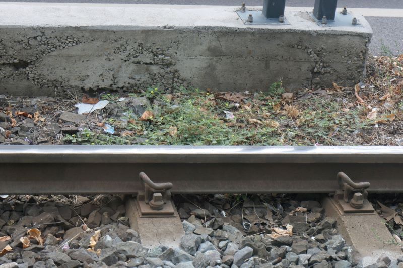 Bucuresti, 25 iulie 021.jpg