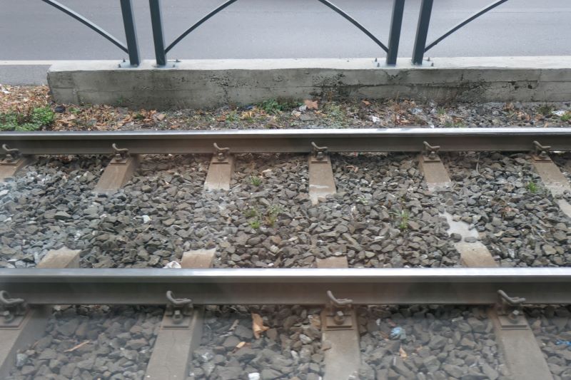 Bucuresti, 25 iulie 022.jpg