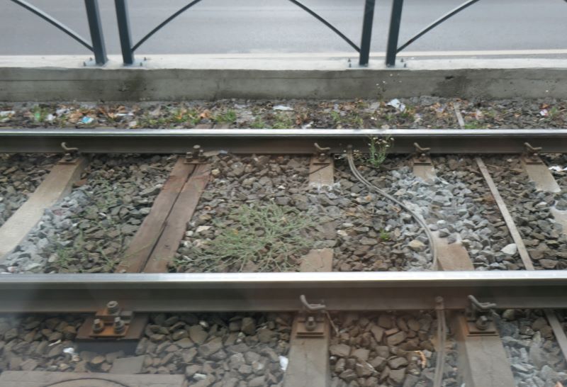 Bucuresti, 25 iulie 023.jpg