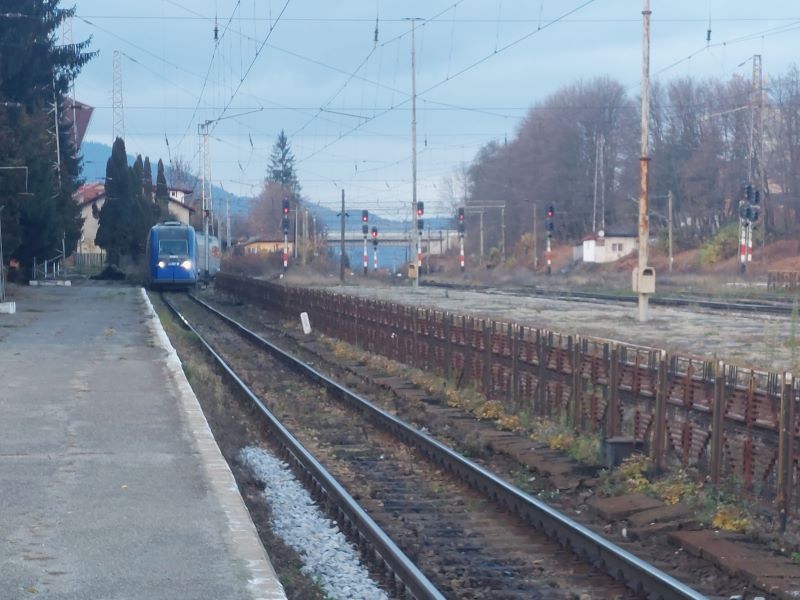 20241102_163546.jpg