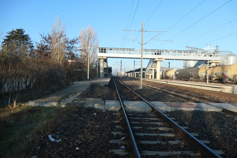 P1576659.JPG
