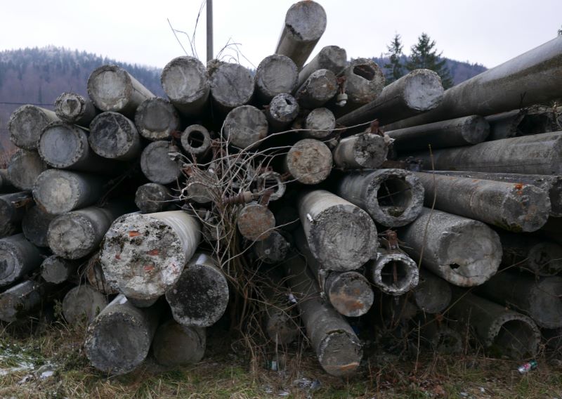 Tura Baiului, 14 decembrie 006.jpg