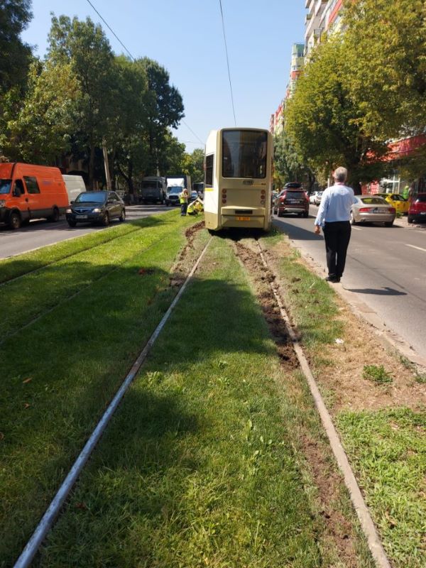 Gazon-linie-tramvai-5-696x928.jpg