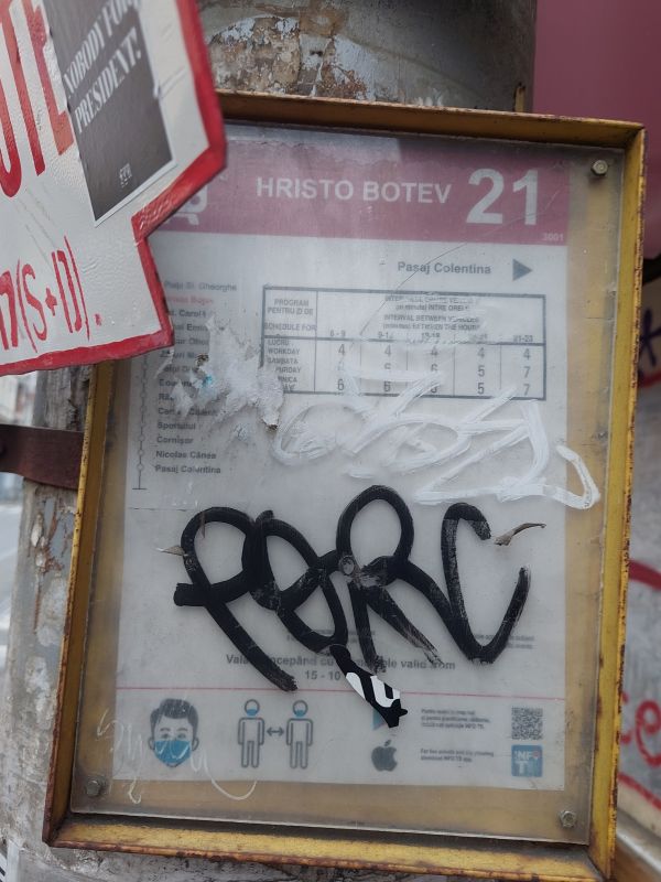 Bucuresti, 31 ianuarie 003.jpg