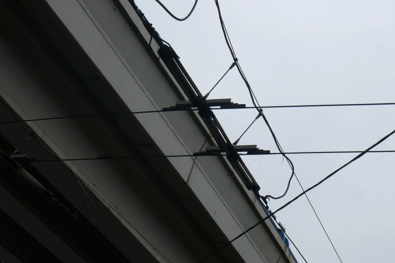 Bucuresti, 8 februarie 013.jpg