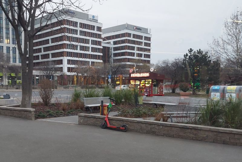 Bucuresti, 8 februarie 009.jpg