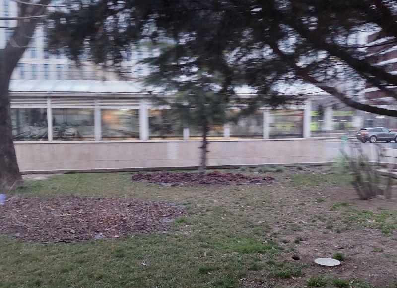 Bucuresti, 8 februarie 010.jpg