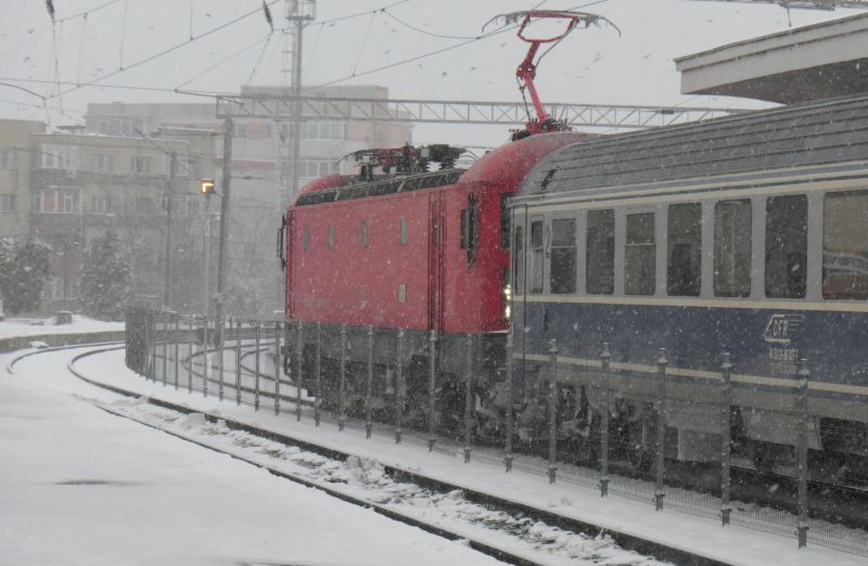 P1579662.JPG
