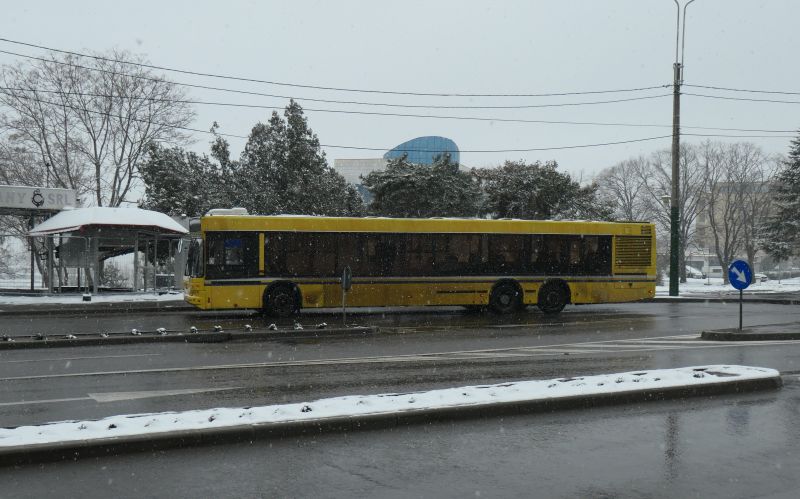 P1579656.JPG