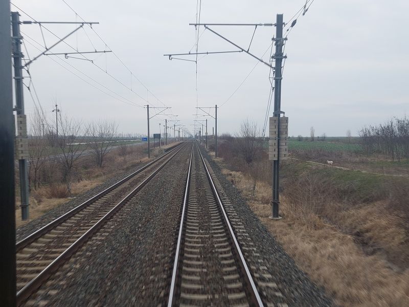 20250215_090531.jpg