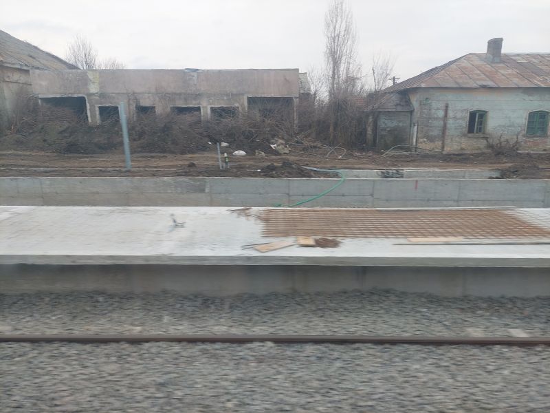 20250215_091556.jpg
