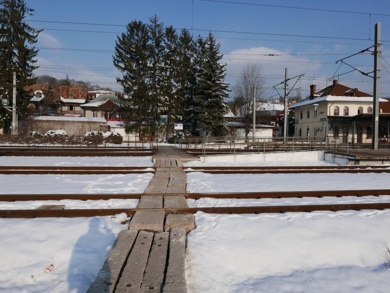 P1440312.JPG