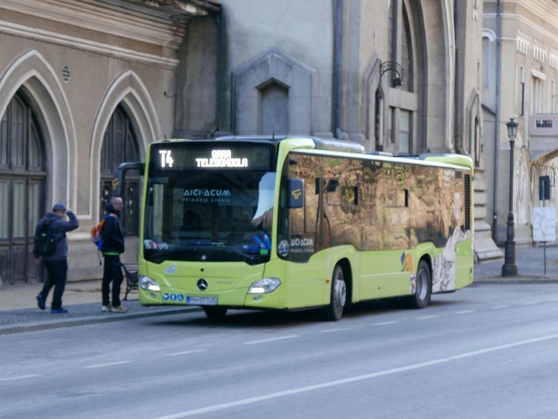 Tura Baiului, 22 martie 009.jpg