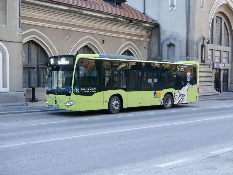 Tura Baiului, 22 martie 010.jpg