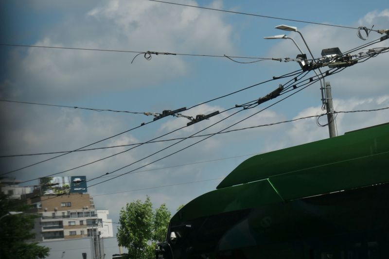 Bucuresti, 7 mai 011.jpg