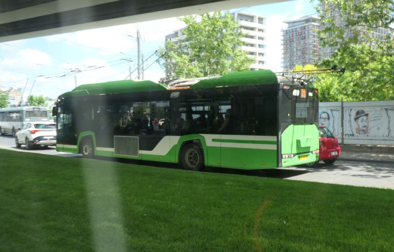 Bucuresti, 7 mai 010.jpg