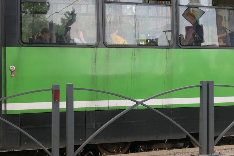 Bucuresti, 5 mai 002.jpg
