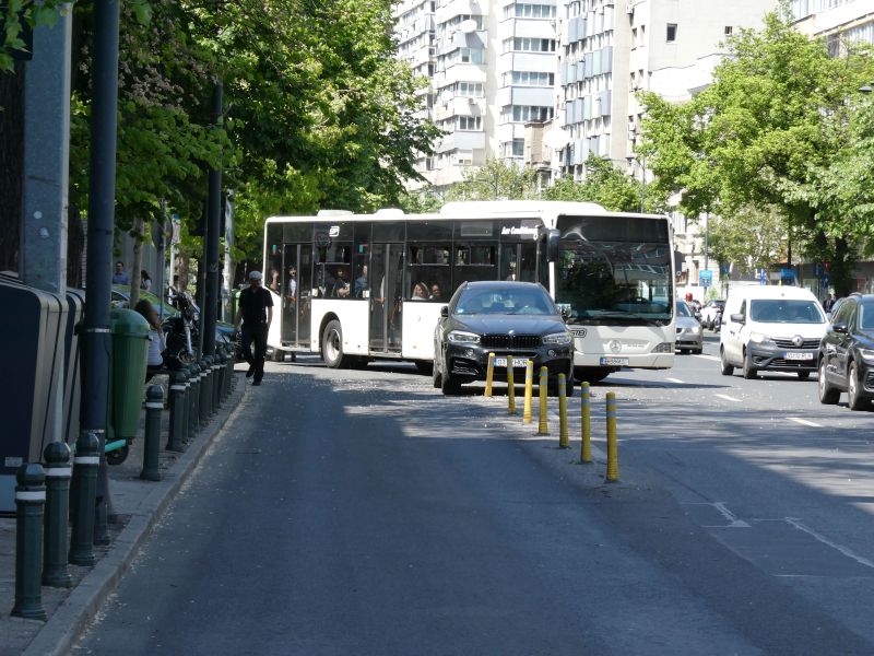 Bucuresti, 6 mai 006.jpg