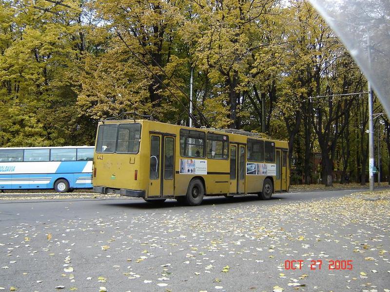 443._198.jpg