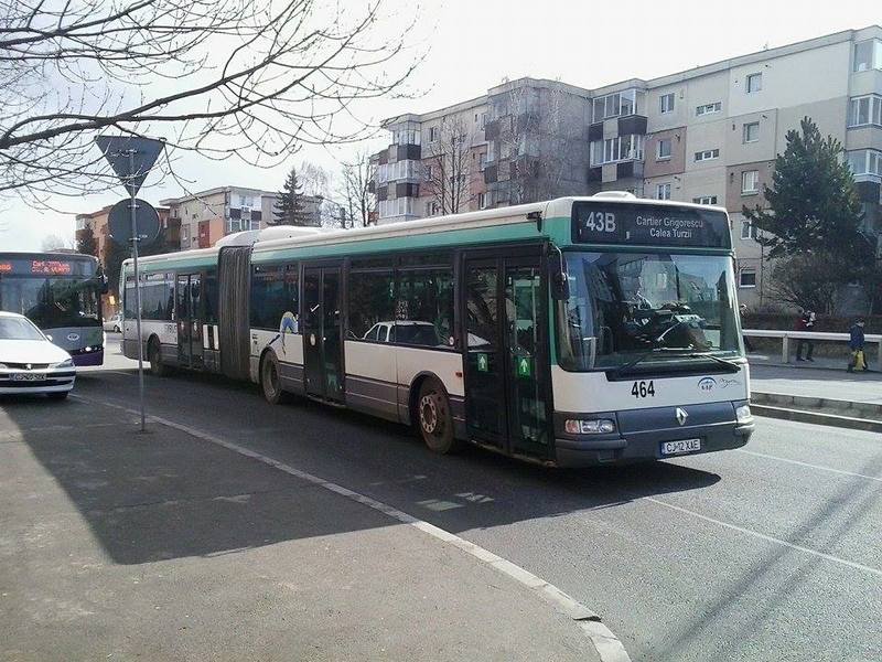 464.jpg
