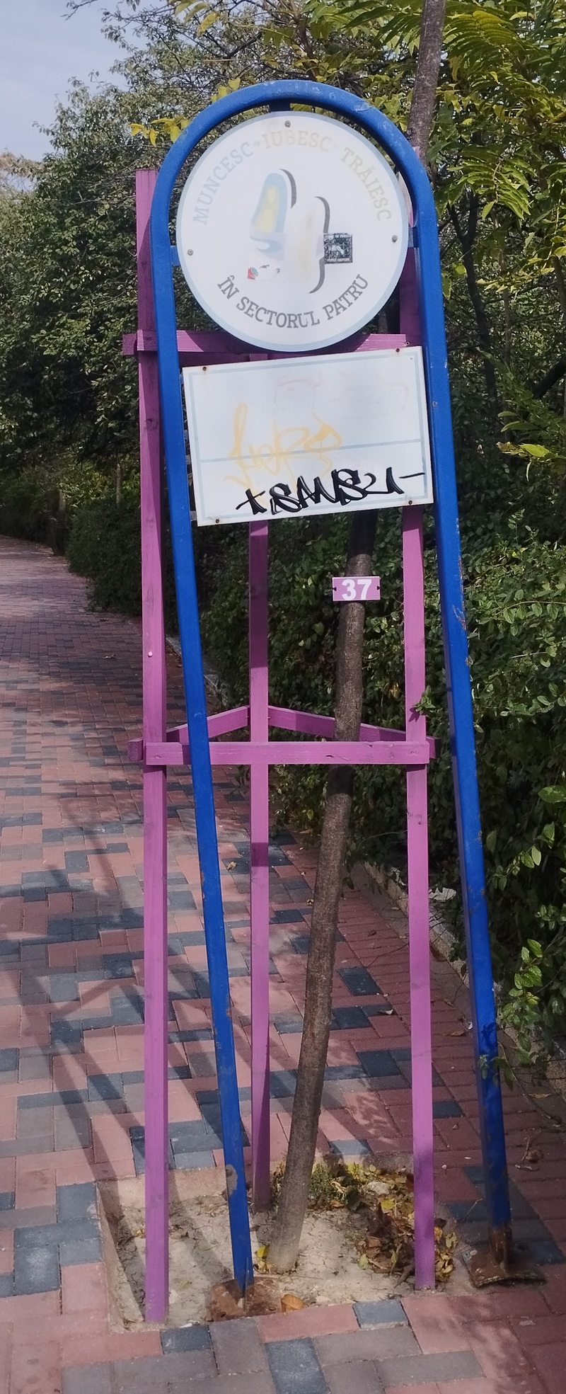 1729249228875.jpg