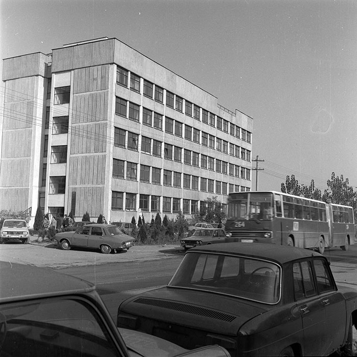 264.jpg