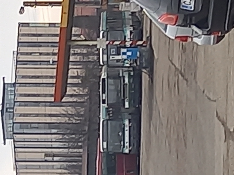 20220215_153256.jpg
