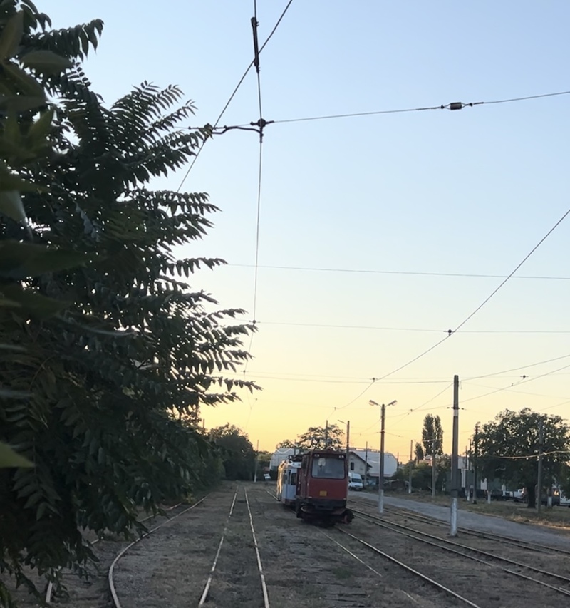 IMG_2601.jpeg
