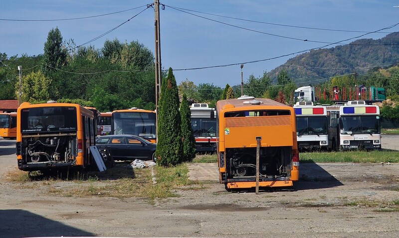 20240824_113852.jpg