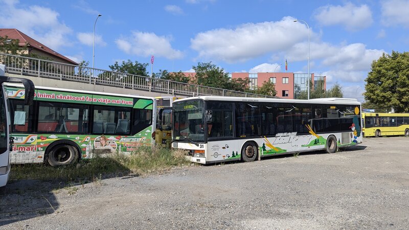 setra_ex_31.jpg