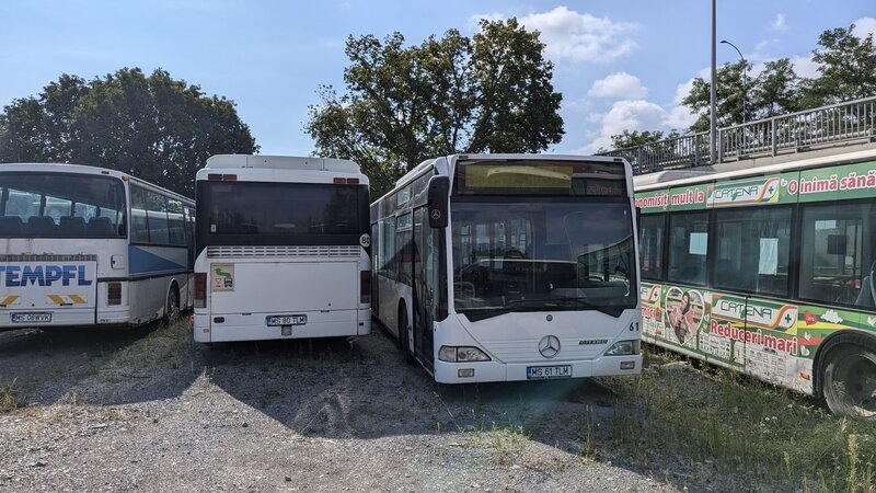 citaro_ex_61_ms61tlm_setra_ex_80.jpg