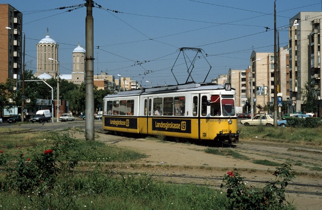 628.jpg