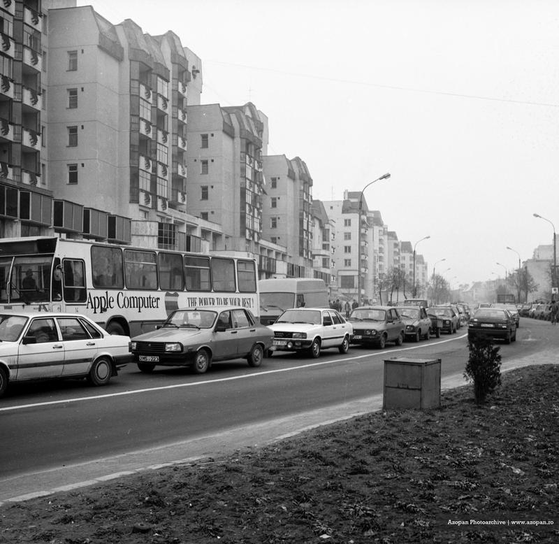 azopan_00000074.jpg