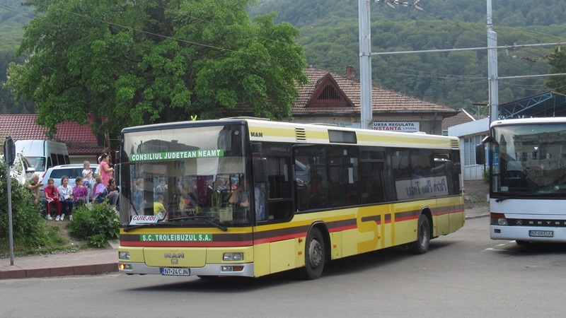 NT 24 CJN-3.JPG