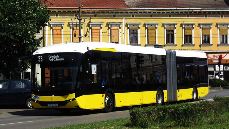TM 12 PMT-2.JPG