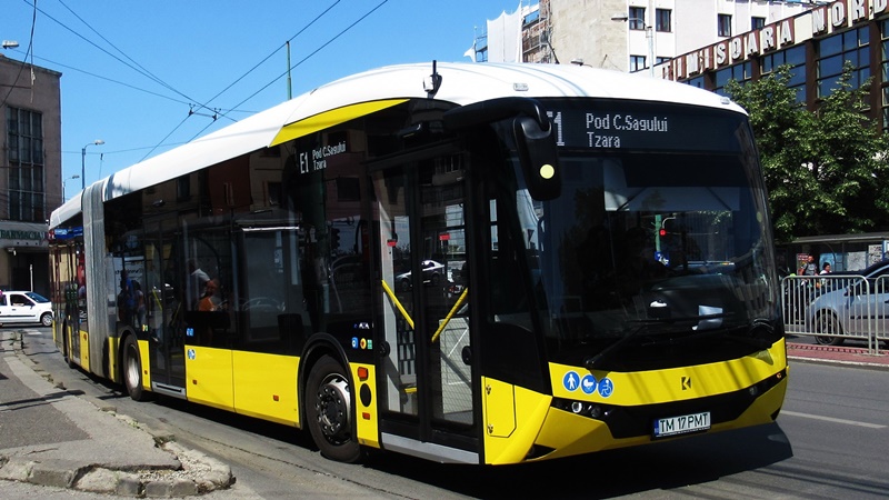 TM 17 PMT-1.JPG