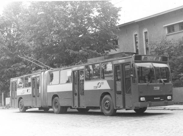 7338.jpg