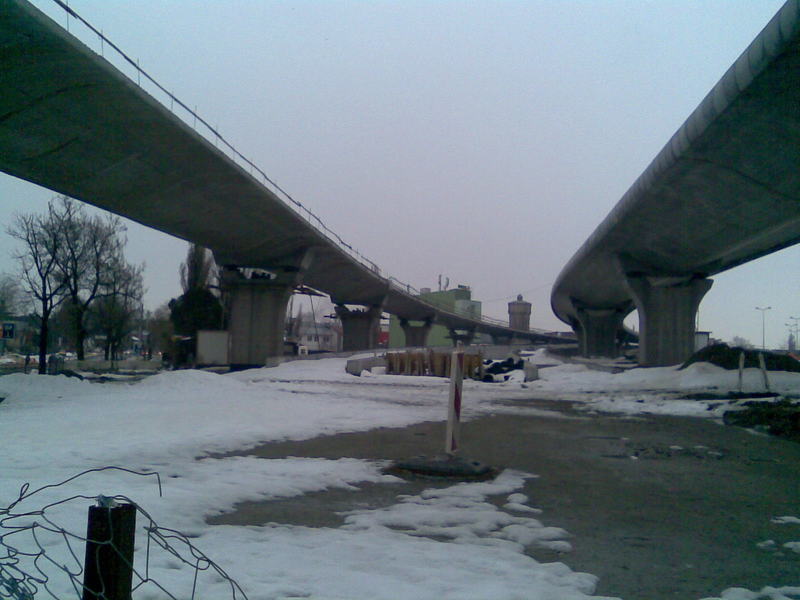 74.jpg