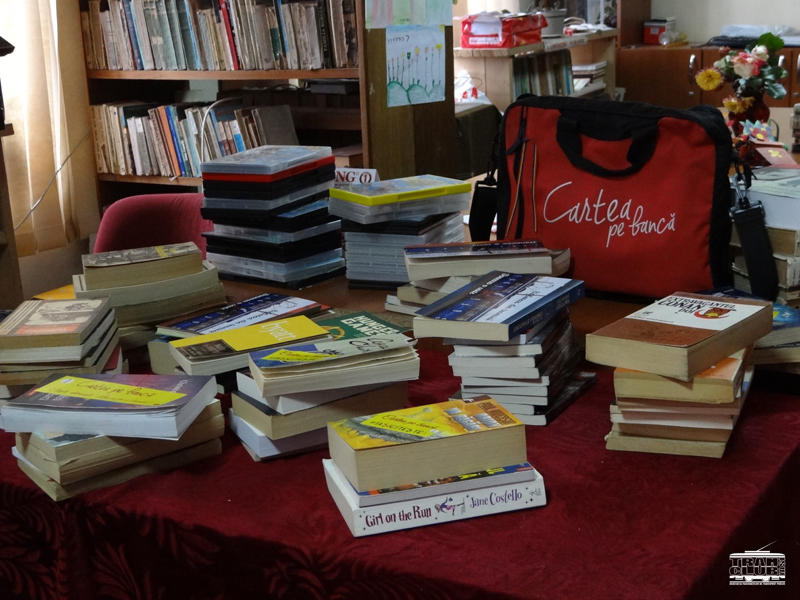 7. Biblioteca comunala Dobrovat.jpg
