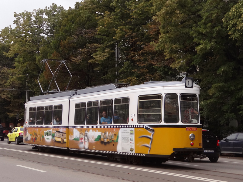 316 - stanga spate.jpg