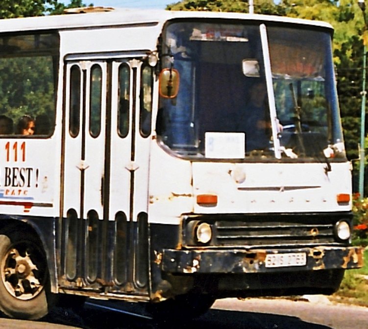 111.jpg