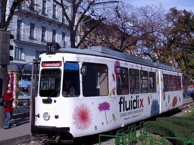 7.JPG