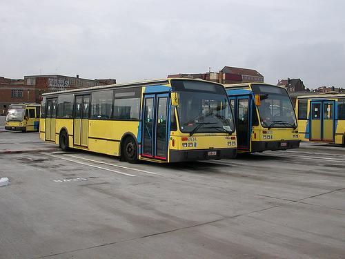 8434.jpg
