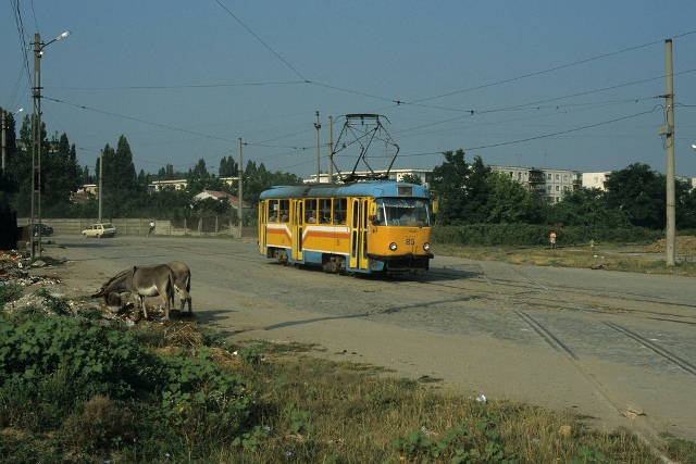85.jpg