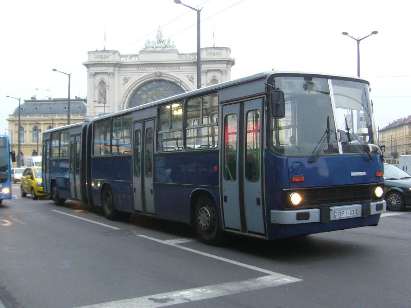 BPI833-P1600986.JPG