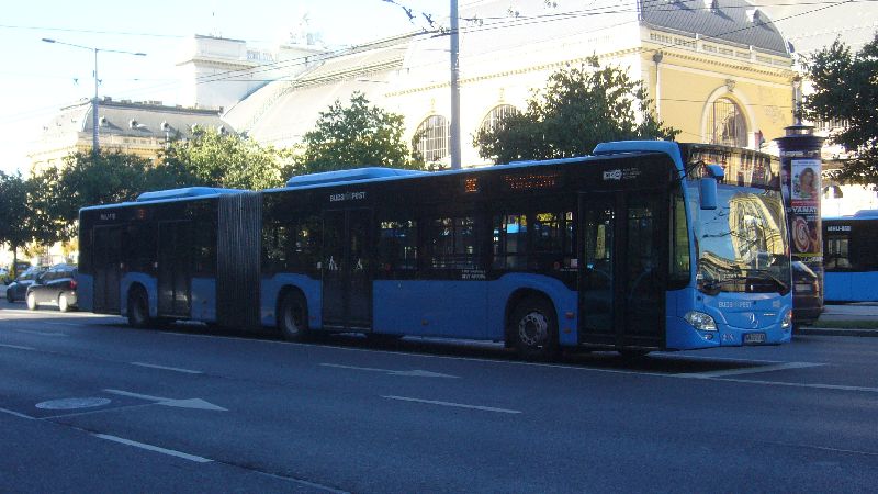 MHU718-P1610861.JPG