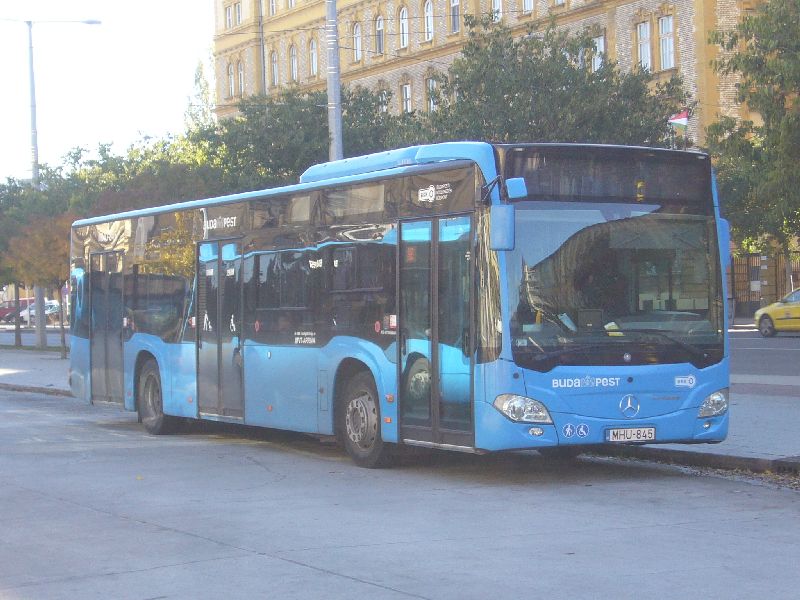 MHU845-P1610853.JPG